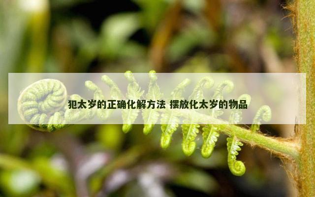 犯太岁的正确化解方法 摆放化太岁的物品