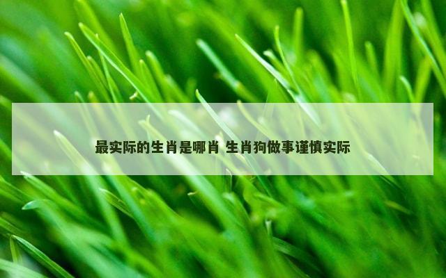 最实际的生肖是哪肖 生肖狗做事谨慎实际