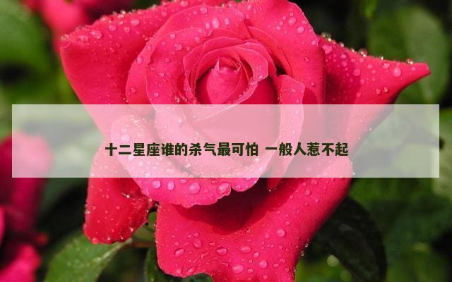 十二星座谁的杀气最可怕 一般人惹不起