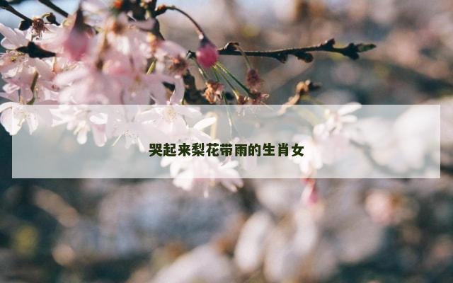 哭起来梨花带雨的生肖女