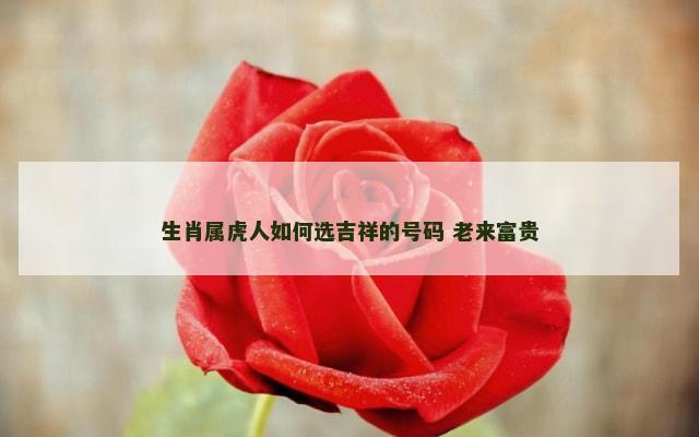 生肖属虎人如何选吉祥的号码 老来富贵