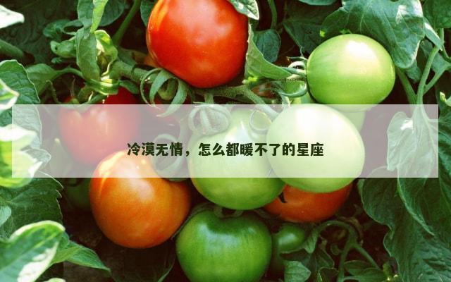 冷漠无情，怎么都暖不了的星座