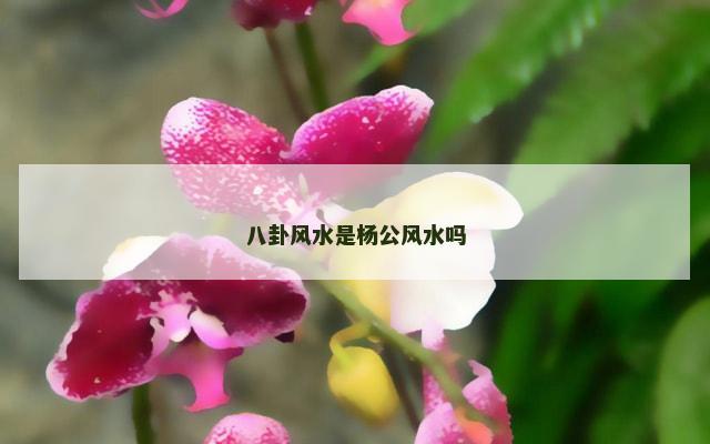 八卦风水是杨公风水吗