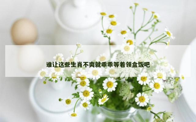谁让这些生肖不爽就乖乖等着领盒饭吧