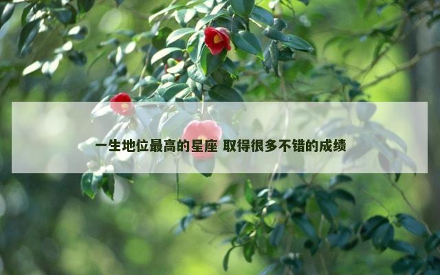 一生地位最高的星座 取得很多不错的成绩