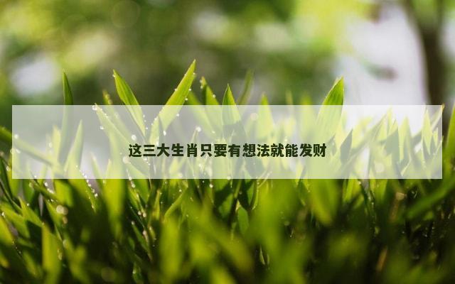 这三大生肖只要有想法就能发财
