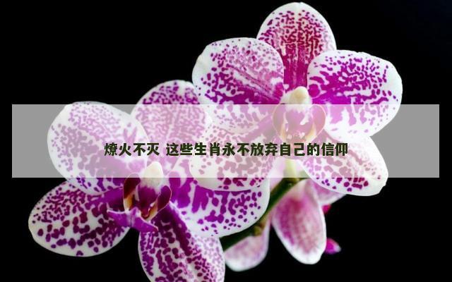 燎火不灭 这些生肖永不放弃自己的信仰