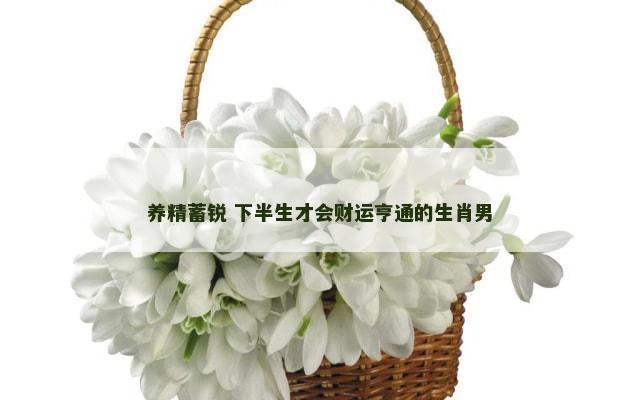 养精蓄锐 下半生才会财运亨通的生肖男