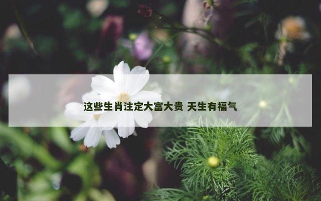 这些生肖注定大富大贵 天生有福气