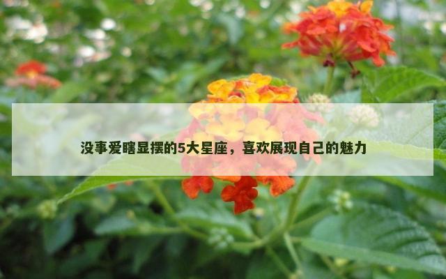 没事爱瞎显摆的5大星座，喜欢展现自己的魅力