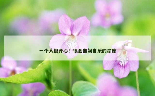 一个人很开心！很会自娱自乐的星座