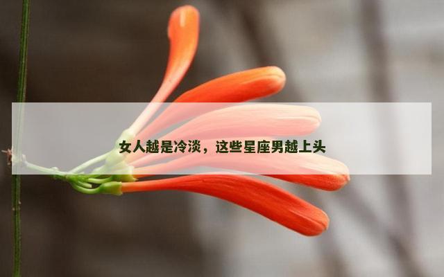 女人越是冷淡，这些星座男越上头