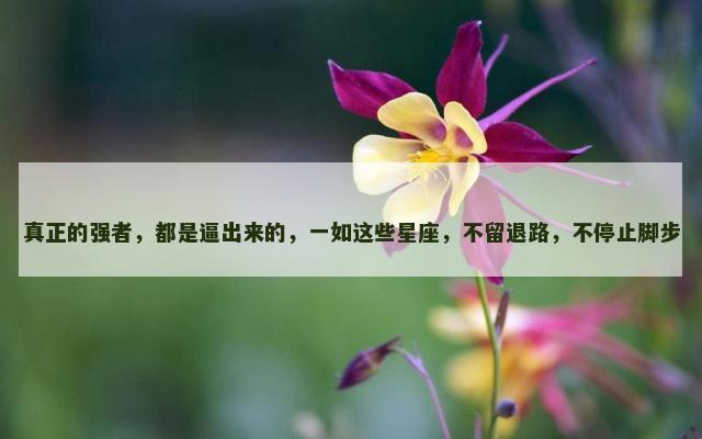 真正的强者，都是逼出来的，一如这些星座，不留退路，不停止脚步