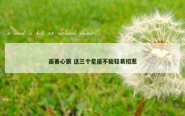 面善心狠 这三个星座不能轻易招惹