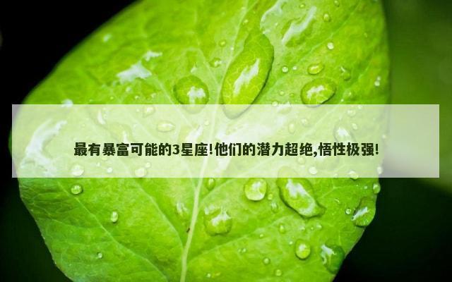 最有暴富可能的3星座!他们的潜力超绝,悟性极强!