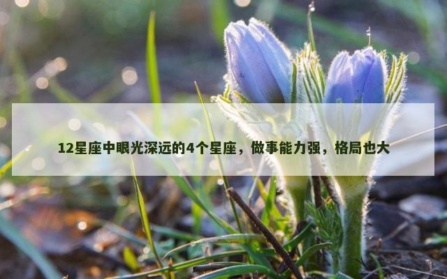 12星座中眼光深远的4个星座，做事能力强，格局也大