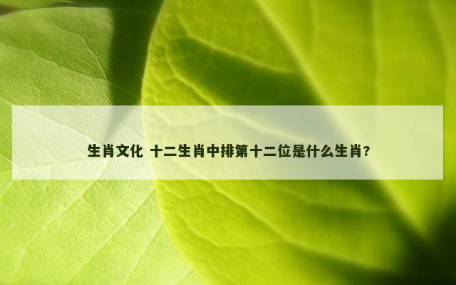 生肖文化 十二生肖中排第十二位是什么生肖?