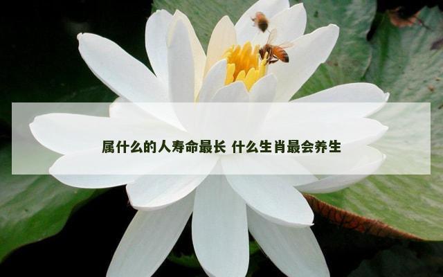 属什么的人寿命最长 什么生肖最会养生