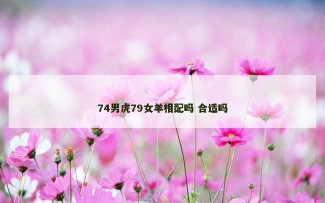 74男虎79女羊相配吗 合适吗