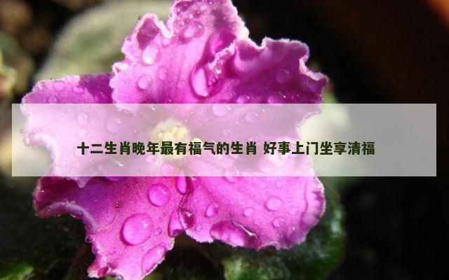 十二生肖晚年最有福气的生肖 好事上门坐享清福