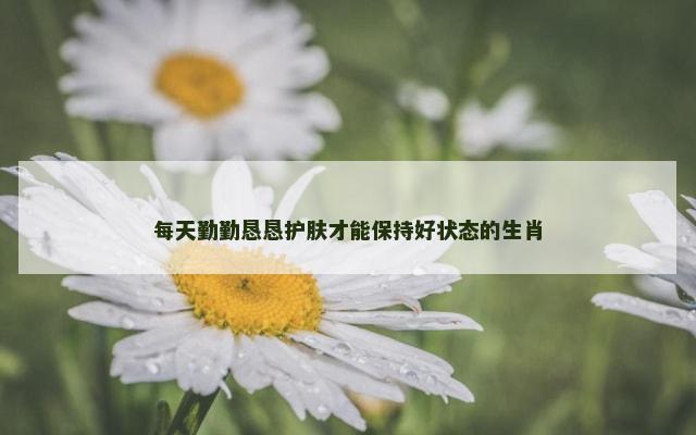 每天勤勤恳恳护肤才能保持好状态的生肖