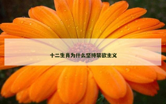 十二生肖为什么坚持禁欲主义