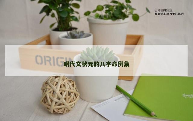 明代文状元的八字命例集