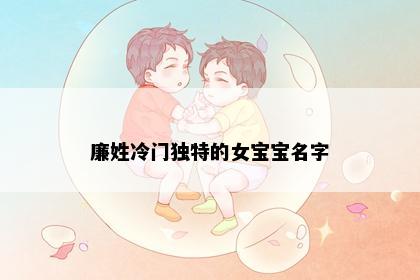 廉姓冷门独特的女宝宝名字