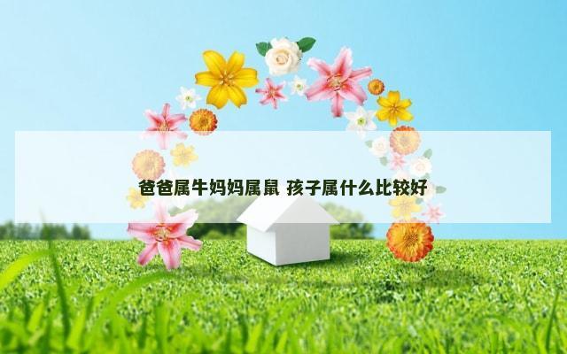 爸爸属牛妈妈属鼠 孩子属什么比较好