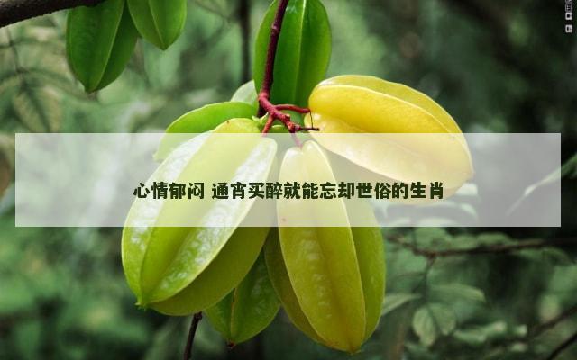 心情郁闷 通宵买醉就能忘却世俗的生肖