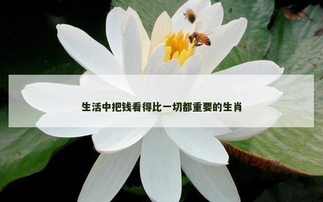 生活中把钱看得比一切都重要的生肖