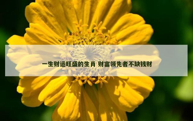 一生财运旺盛的生肖 财富领先者不缺钱财
