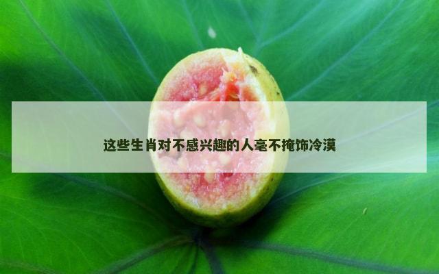 这些生肖对不感兴趣的人毫不掩饰冷漠