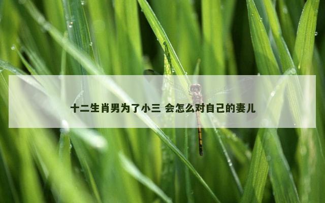 十二生肖男为了小三 会怎么对自己的妻儿