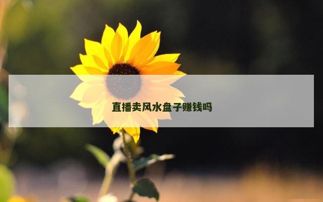 直播卖风水盘子赚钱吗
