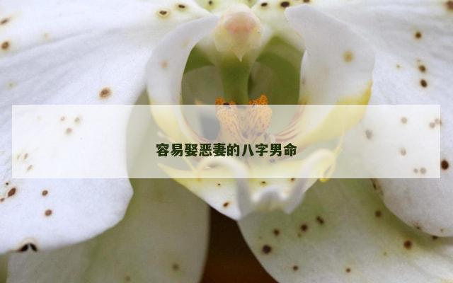 容易娶恶妻的八字男命