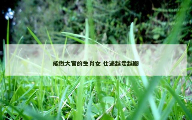 能做大官的生肖女 仕途越走越顺