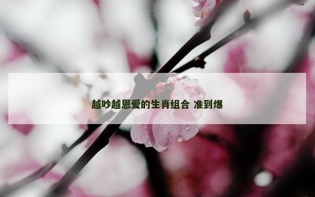 越吵越恩爱的生肖组合 准到爆
