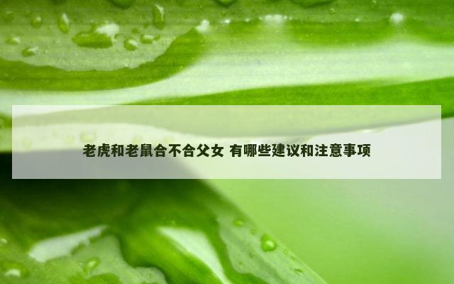 老虎和老鼠合不合父女 有哪些建议和注意事项