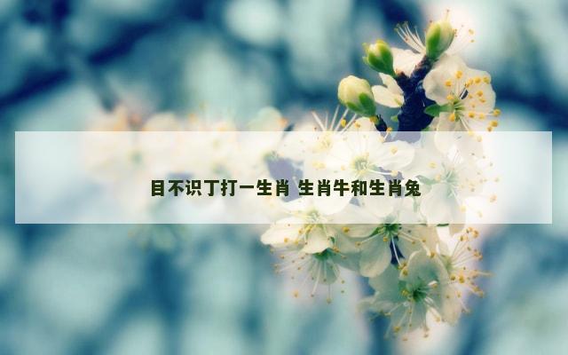 目不识丁打一生肖 生肖牛和生肖兔