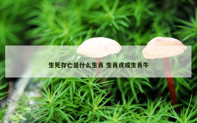 生死存亡是什么生肖 生肖虎或生肖牛