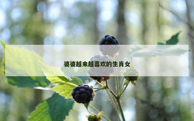 婆婆越来越喜欢的生肖女