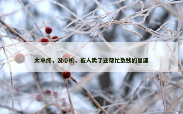 太单纯，没心机，被人卖了还帮忙数钱的星座