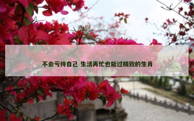 不会亏待自己 生活再忙也能过精致的生肖