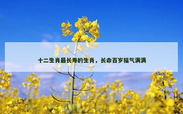 十二生肖最长寿的生肖，长命百岁福气满满