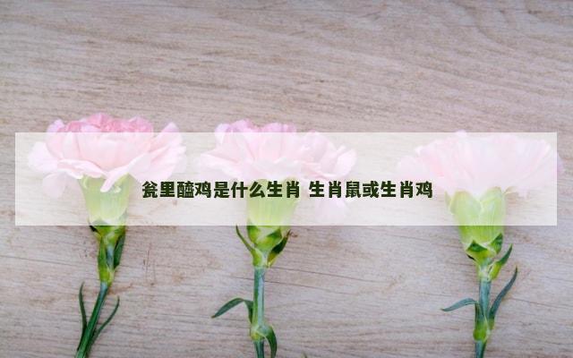 瓮里醯鸡是什么生肖 生肖鼠或生肖鸡