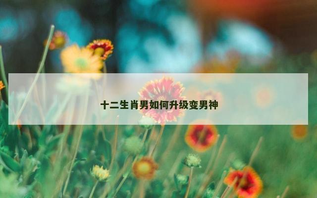 十二生肖男如何升级变男神