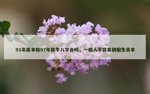 91年属羊和97年属牛八字合吗，一般人不容易驯服生肖羊