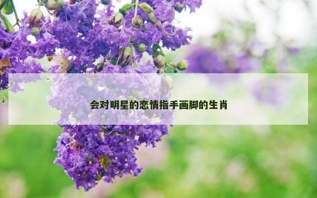 会对明星的恋情指手画脚的生肖