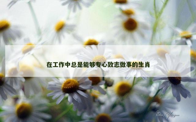 在工作中总是能够专心致志做事的生肖